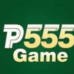 P555 Game