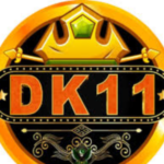 DK11 GAME